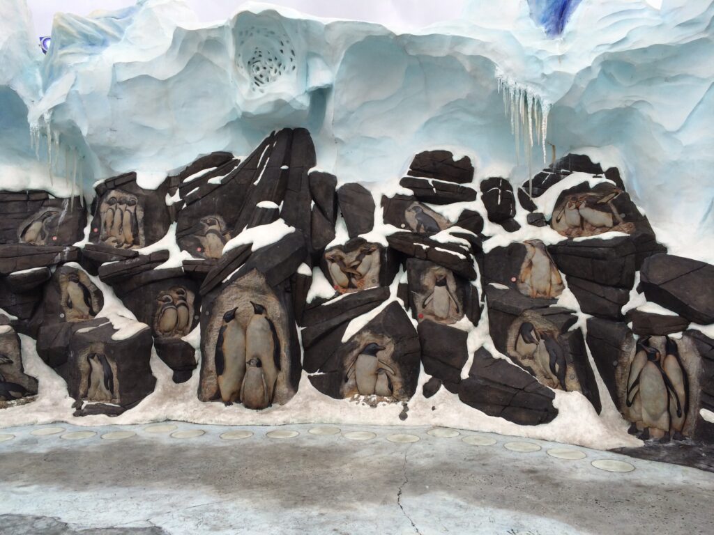 SeaWorld parks golfinhos pinguins animais vida marinha baleia