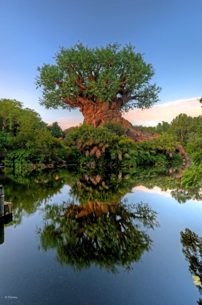 Árvore da Vida, símbolo do parque Animal Kingdom no complexo Walt Disney World Resort em Orlando na Flórida. A foto traz a árvore em frente al lago, tendo sua imagem refletida como um espelho.