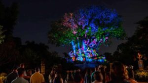 Árvore da Vida, símbolo do parque Disney's Animal Kingdom, completamente iluminada a noite durante as noites de inverno com o show Tree of Life Awakenings que acontece em intervalos de mais ou menos 15-20 minutos após o escurecer