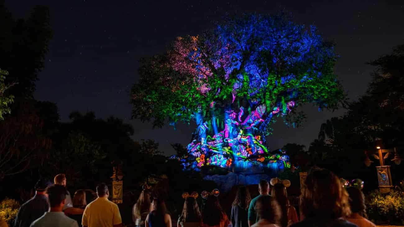 Árvore da Vida, símbolo do parque Disney's Animal Kingdom, completamente iluminada a noite durante as noites de inverno com o show Tree of Life Awakenings que acontece em intervalos de mais ou menos 15-20 minutos após o escurecer