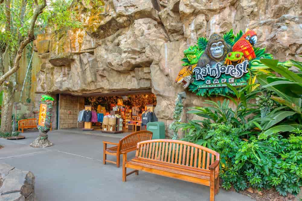 Restaurante Rainforest Cafe no parque temático Disney's Animal Kingdom, um restaurante com tema de floresta tropical onde animais animatrônicos se movem ocasionalmente durante uma "tempestade"