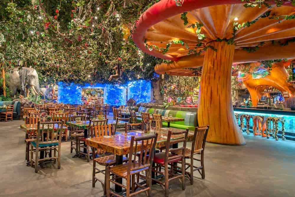 Restaurante Rainforest Cafe no parque temático Disney's Animal Kingdom, um restaurante com tema de floresta tropical onde animais animatrônicos se movem ocasionalmente durante uma "tempestade"