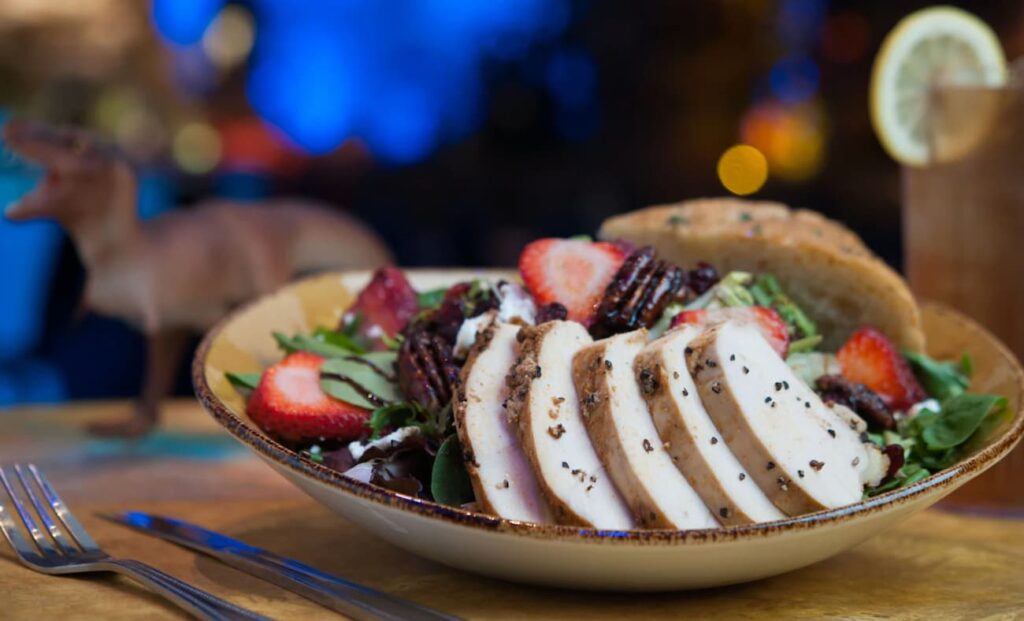 Comida servida no T-Rex localizado em Disney Springs, um restaurante que proporciona uma viagem no tempo para quando ainda existiam dinossauros