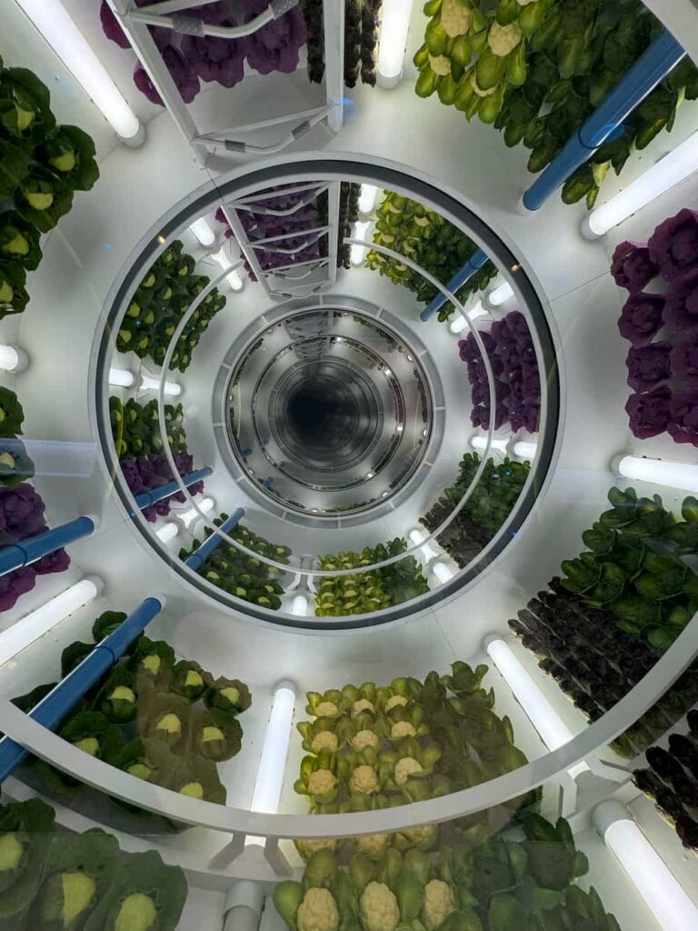 Ambientação do restaurante Space 220 leva os visitantes do Epcot ao espaço para uma refeição diferenciada e depois retorna a Walt Disney World Resort