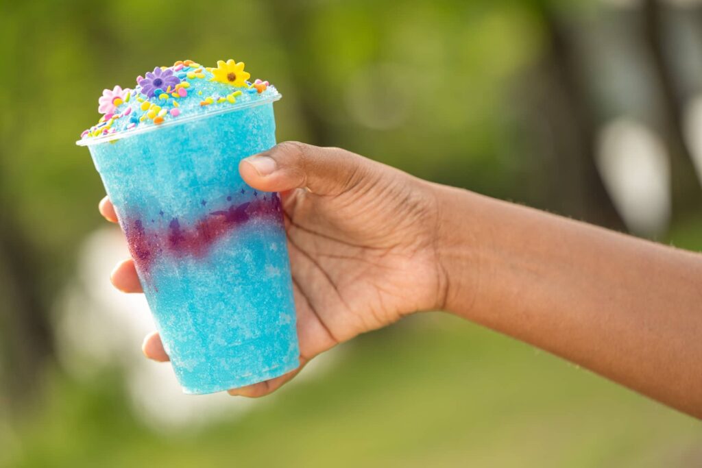 Raspadinha do Bluey no Animal Kingdom