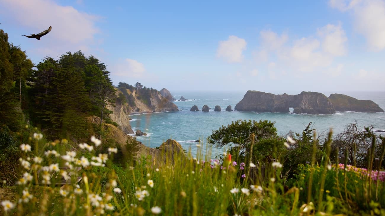 Costa Californiana, uma das mais famosas e lindas dos Estados Unidos