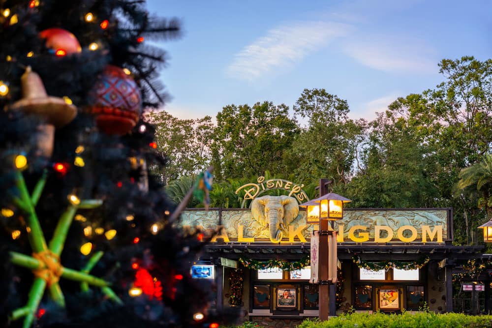 O Disney's Animal Kingdom com sua árvore de natal se transforma completamente