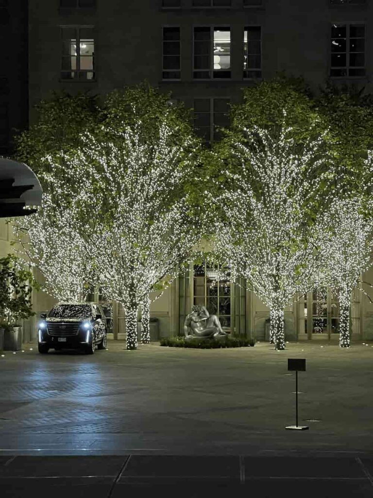 árvores enfeitadas com luzinhas natalinas durante as festividades de natal em Nova York