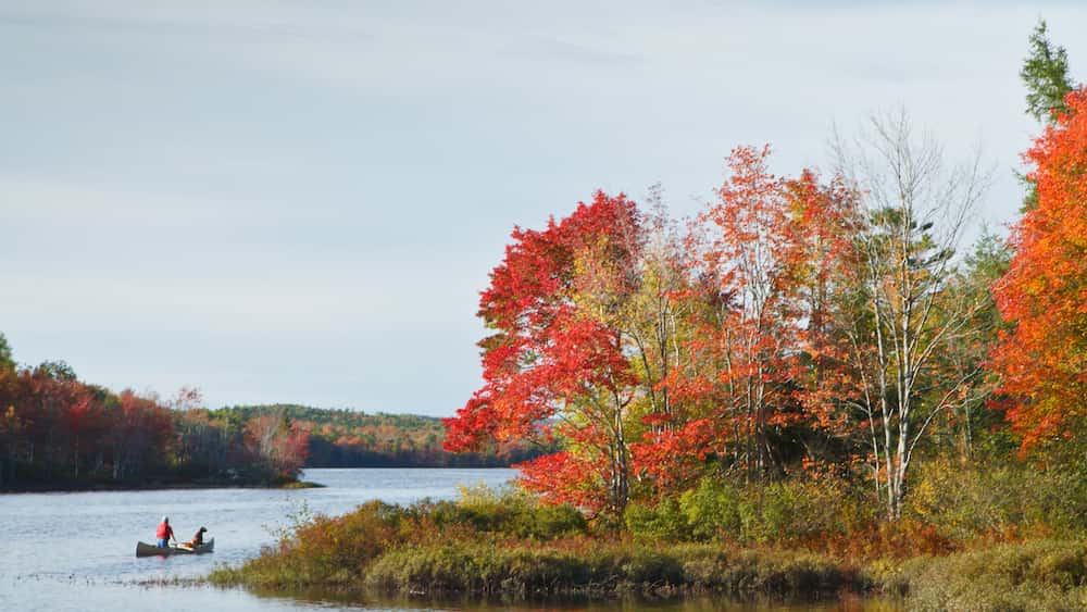 Canada